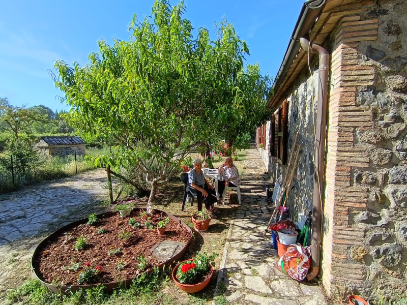 Persone intente a fare giardinaggio accanto a una casa di mattoni, con un albero, vasi di fiori e un sentiero di pietra illuminato dal sole.