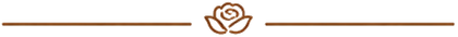 Una sottile linea decorativa marrone con una piccola icona a forma di rosa centrata tra due linee orizzontali.