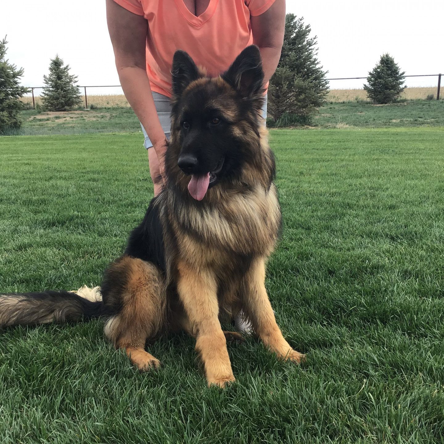Zeke