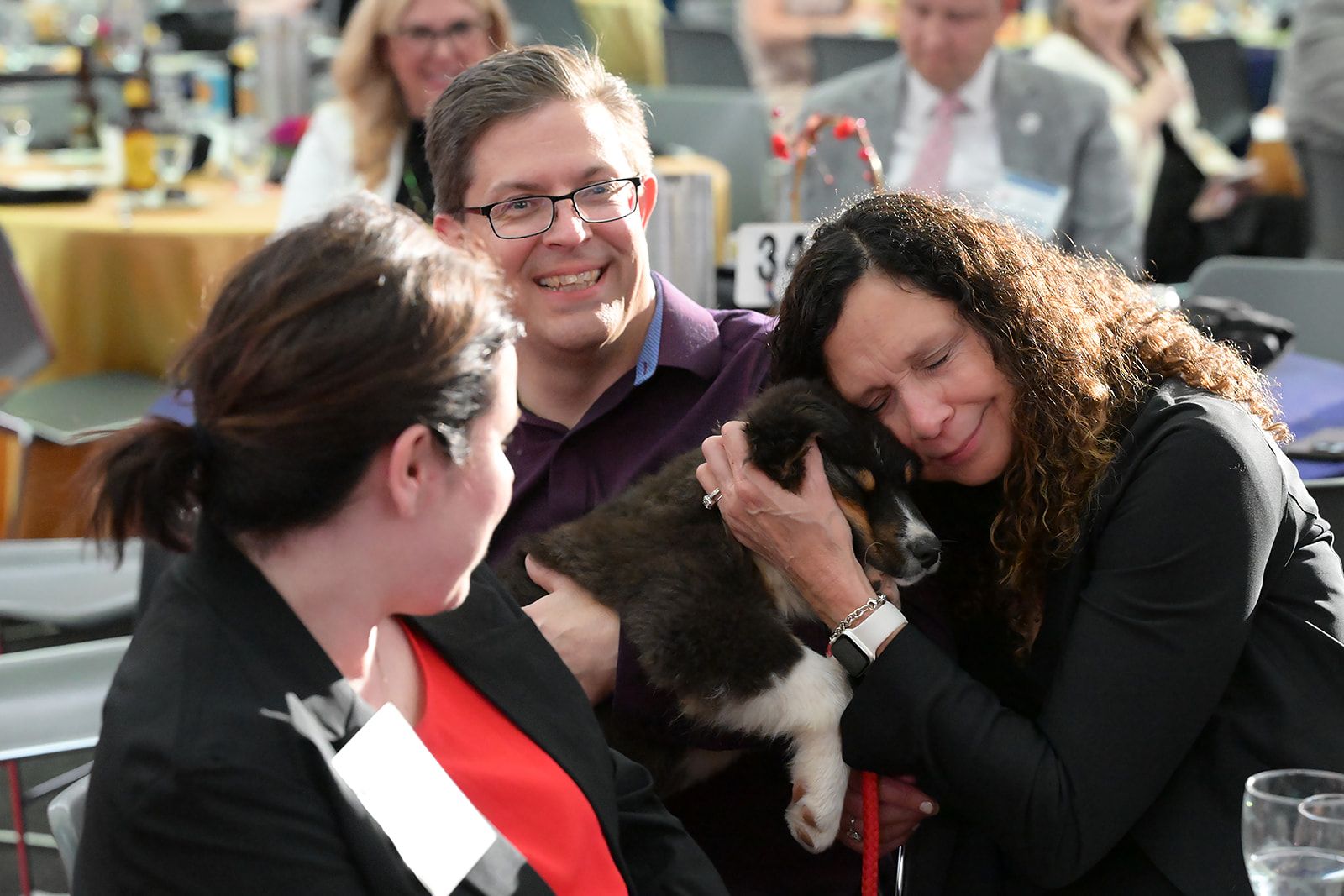 Three people sitting at a table in a conference room embrace and smile at a small puppy they are holding together.