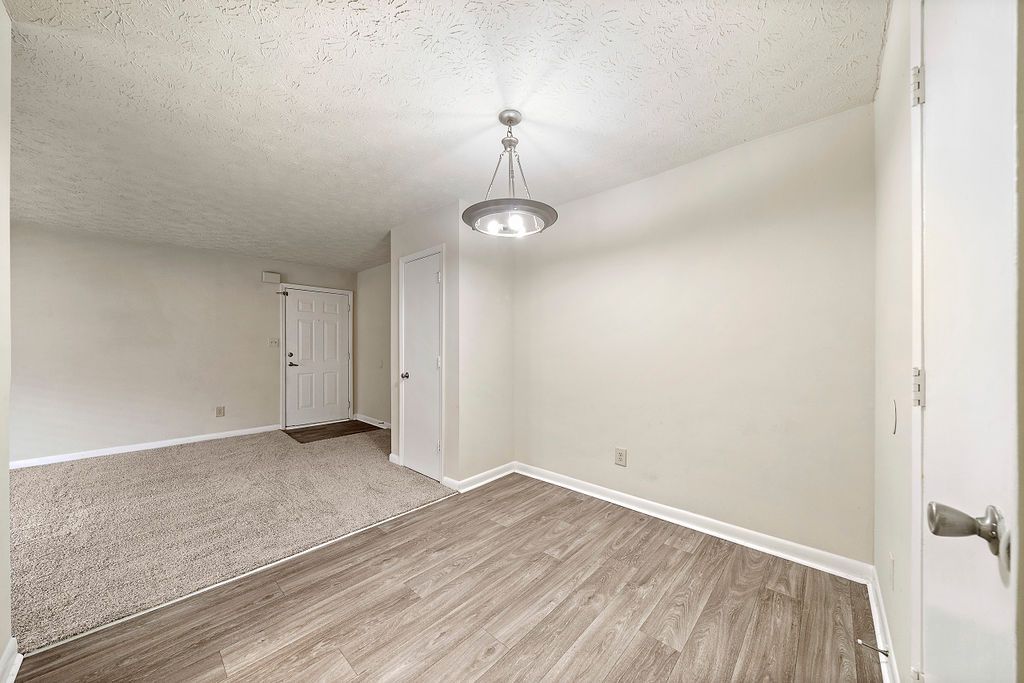 Empty beige living room with wood-look floor, carpeted area, and ceiling light fixture