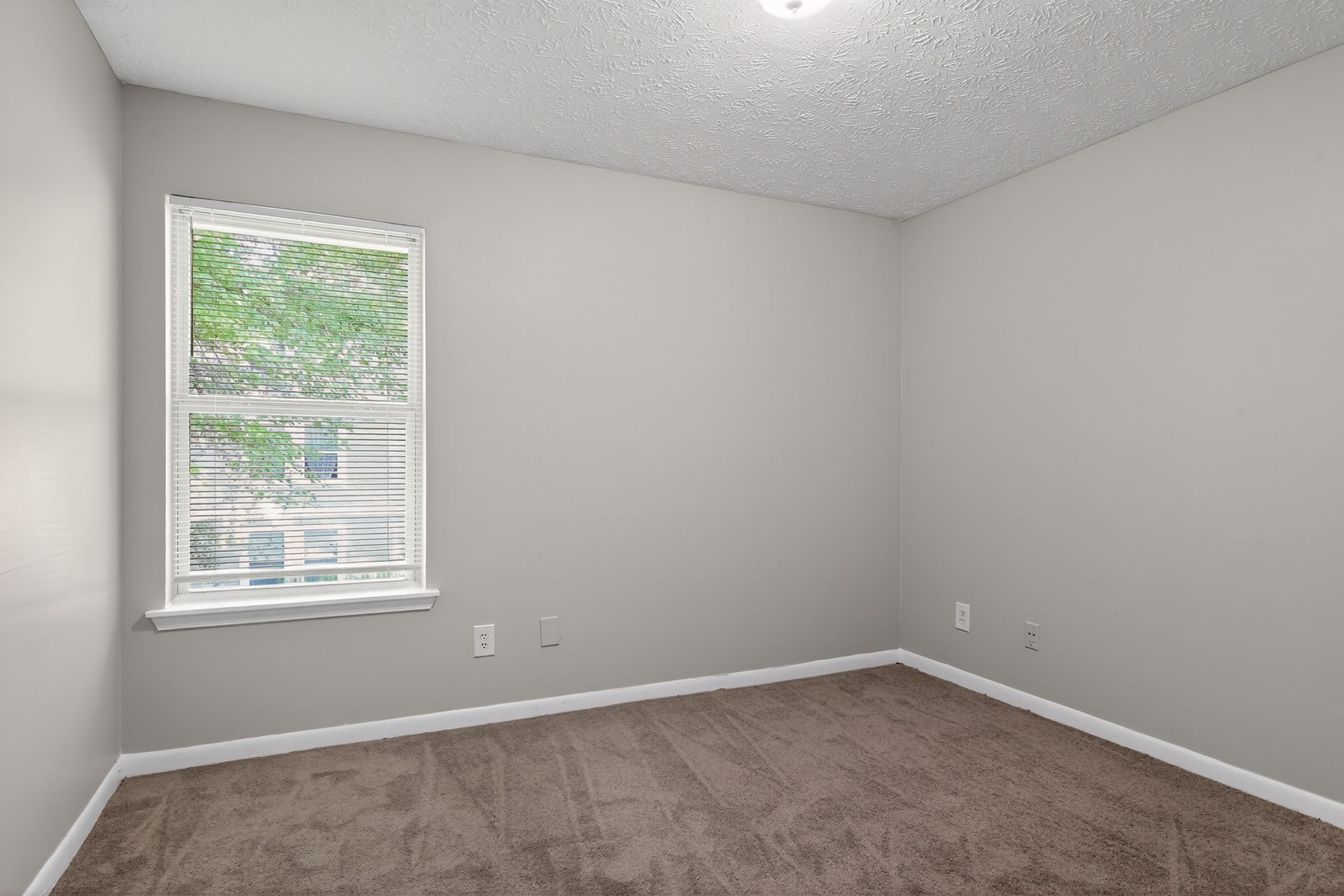 Empty gray bedroom with beige carpet, white trim, and one window showing greenery outside