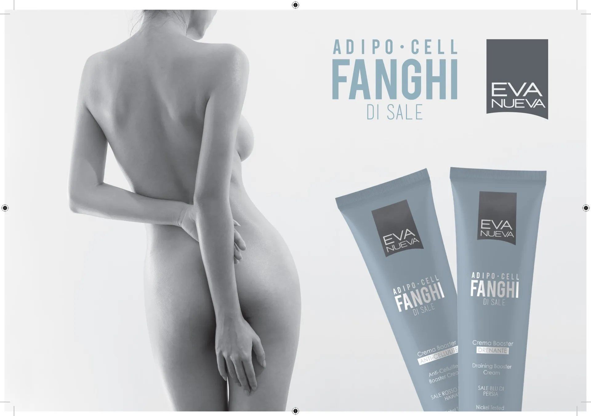 Adipo-cell proposta