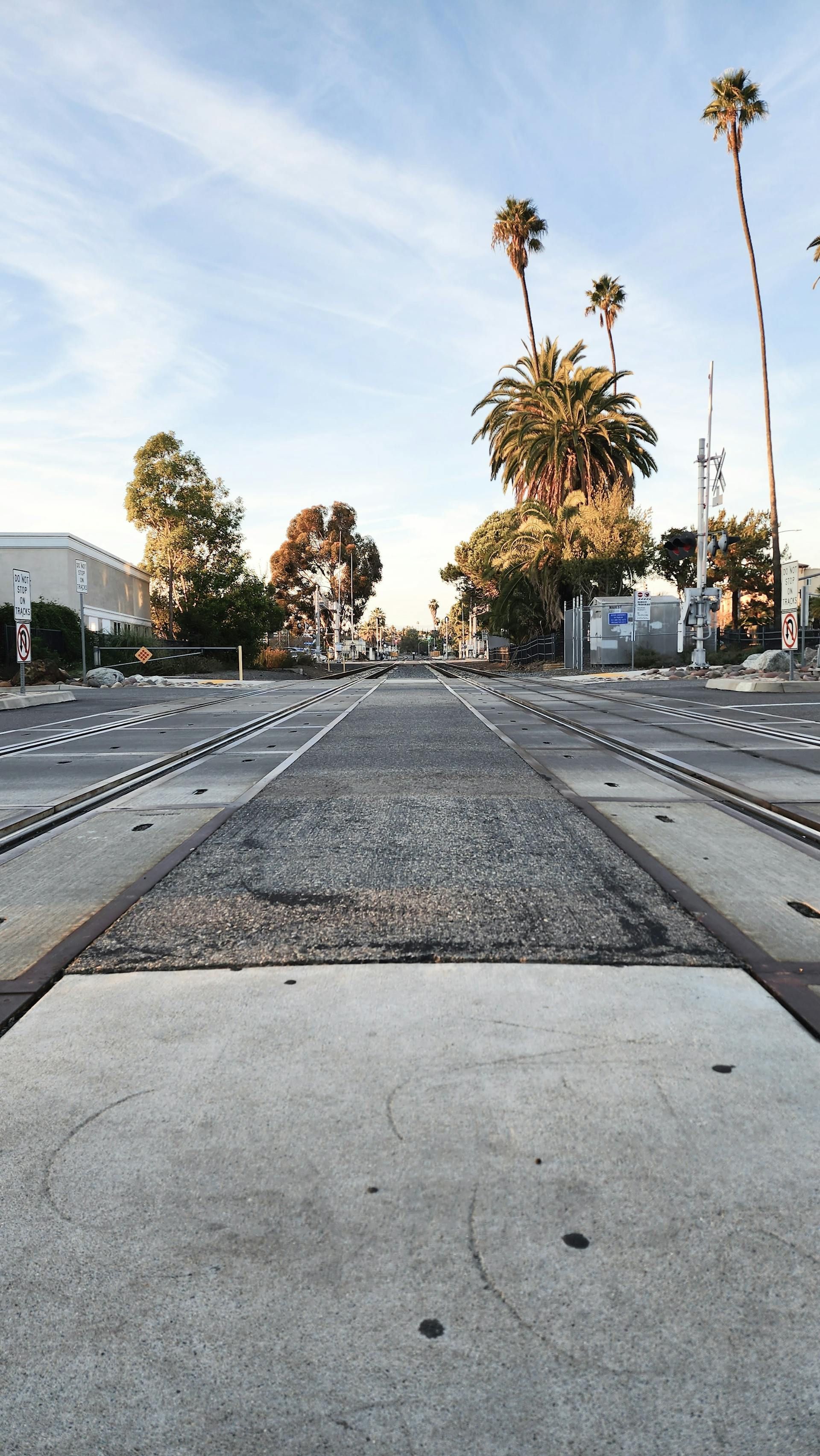 Empty railway tracks leading toward a palm-lined street at sunset