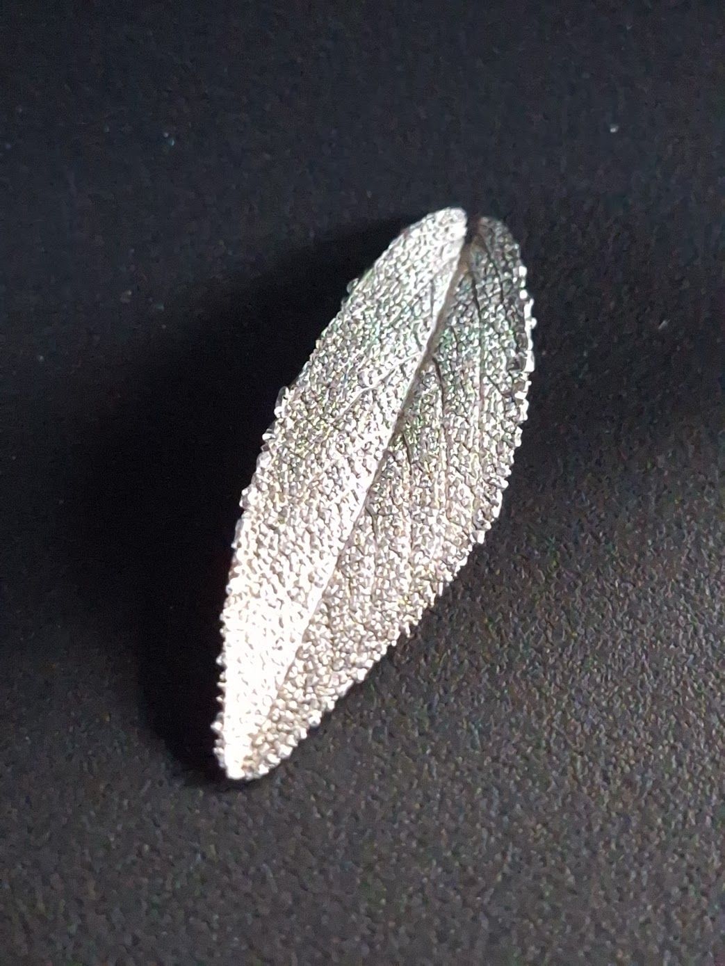 salieblad
