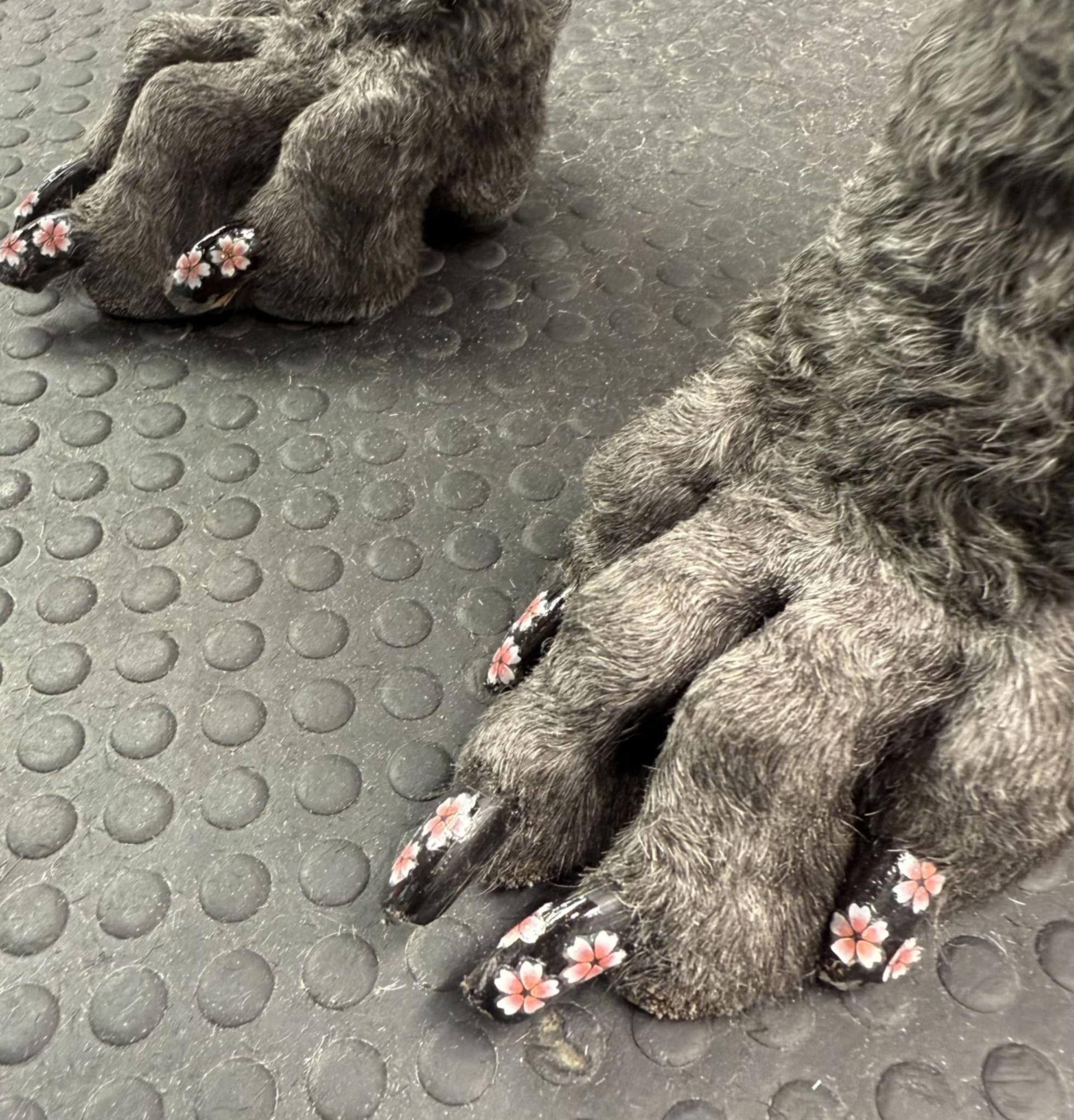 Nail Art
