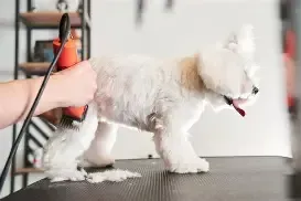 Add-On - Comb Clipping