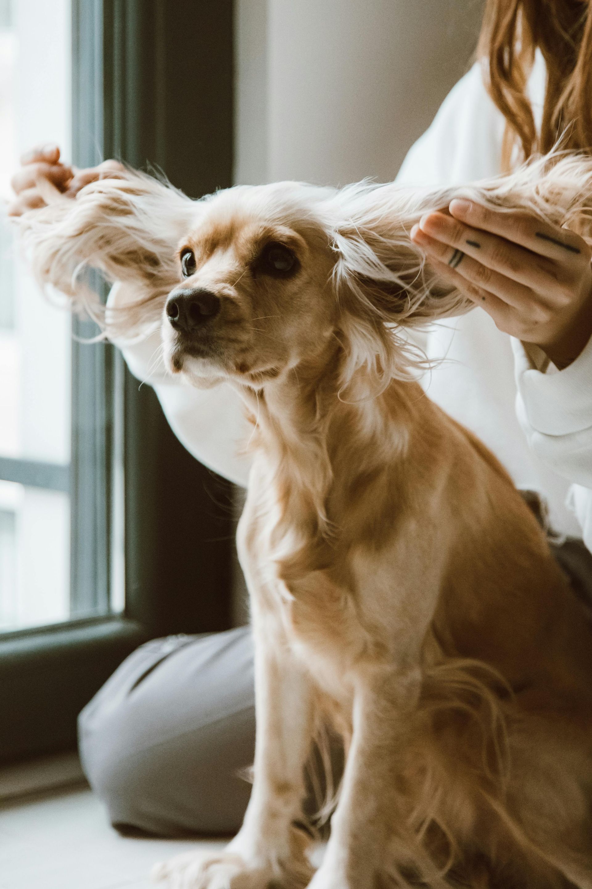 Ear Plucking
