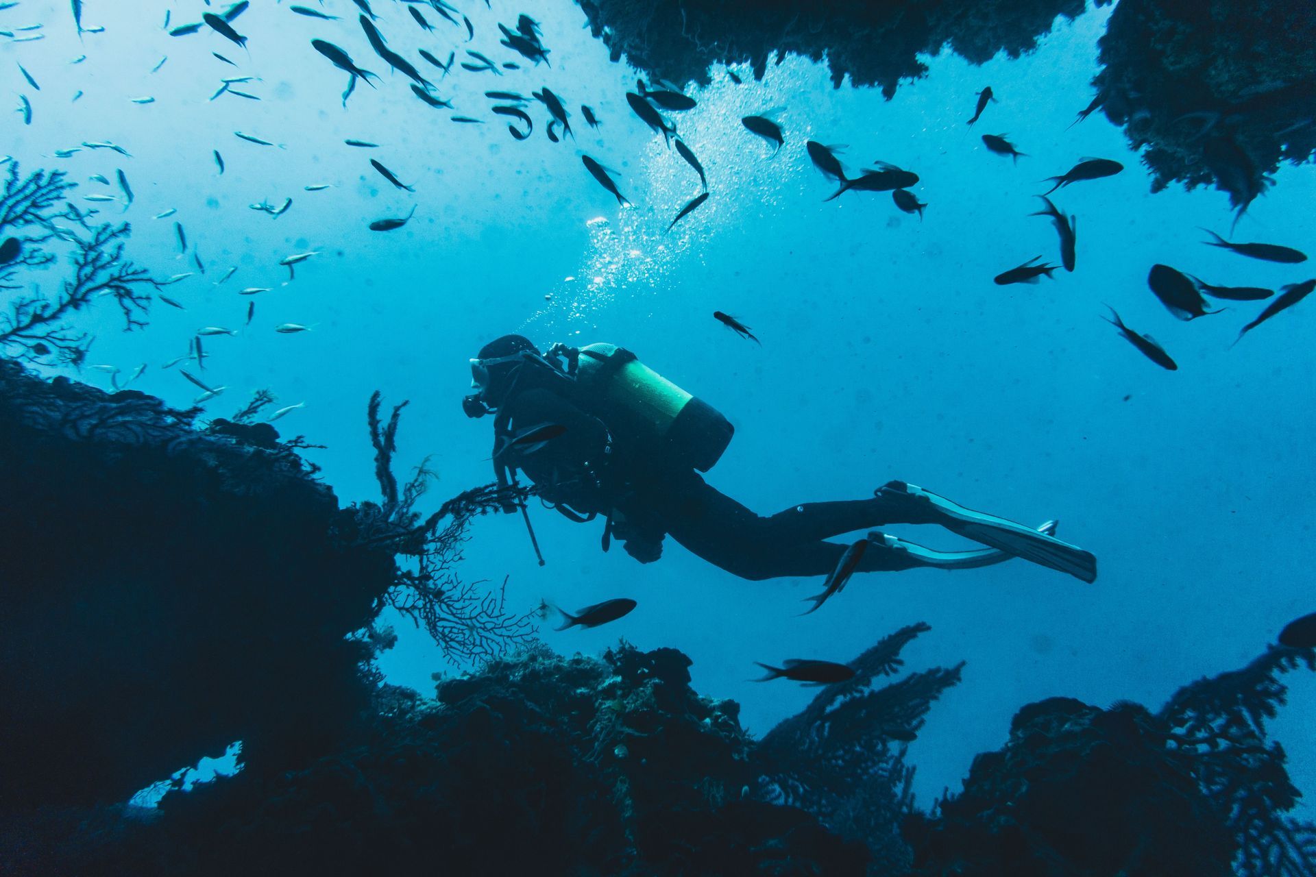 Scuba diver swimming underwater among fish and coral silhouettes in blue water