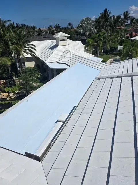 White roof with metal panels, partial view. Sunlight, palm trees in background.
