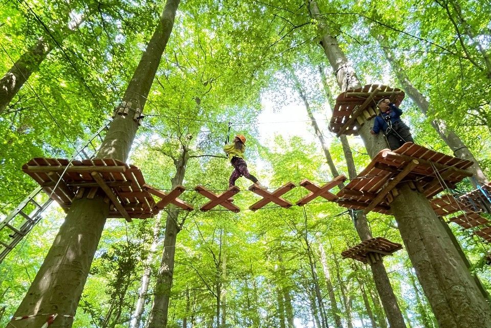 People on a treetop adventure course, crossing a wooden bridge between platforms in a forest. zipline wales