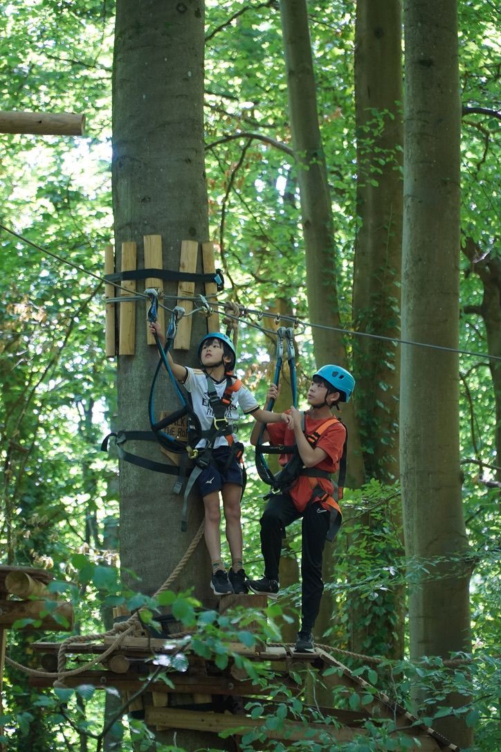 Aerial view of a treetop adventure park with people climbing obstacles