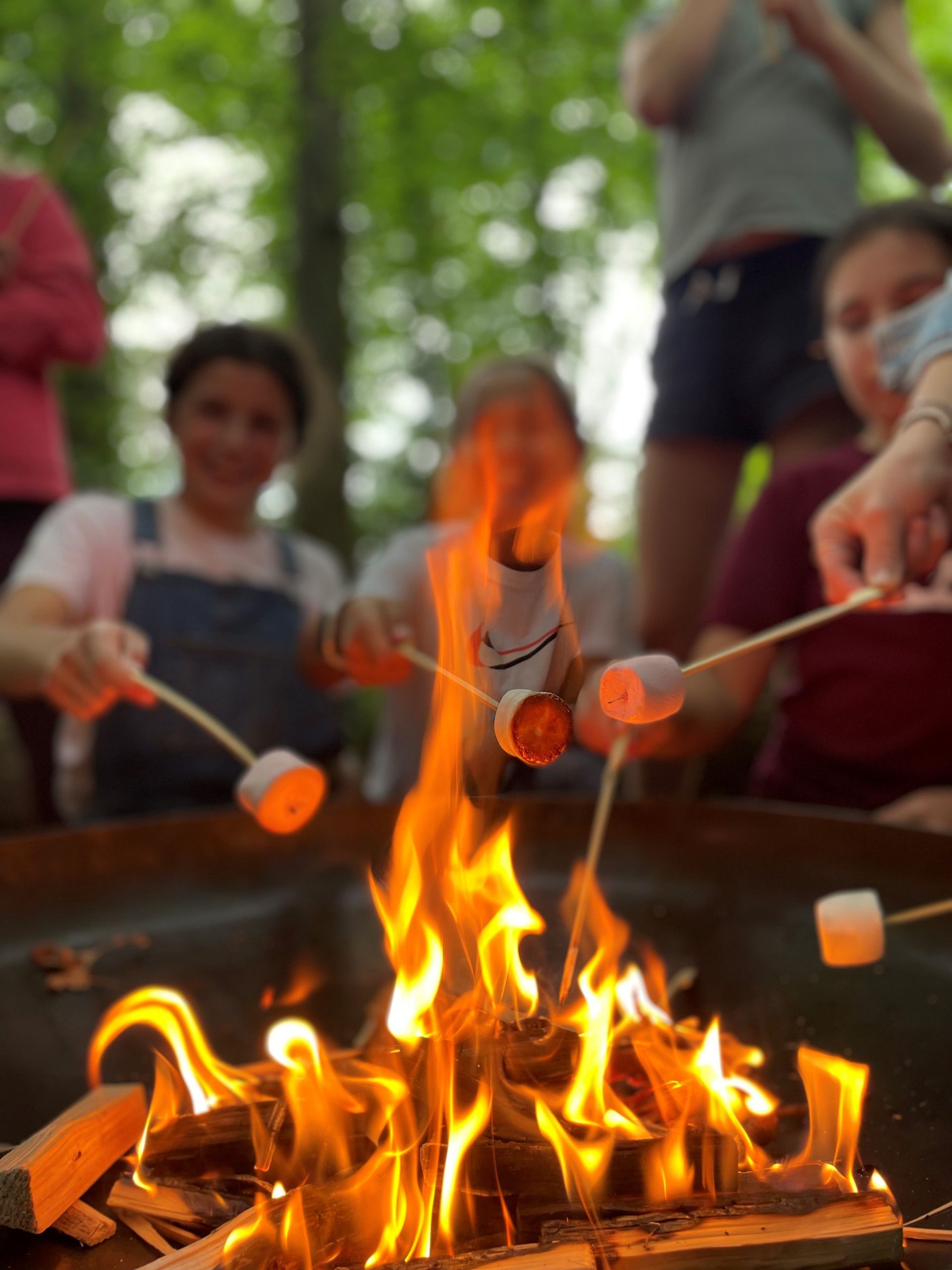 Campers roasting marshmallows over a campfire. Bright flames with people smiling and holding sticks.