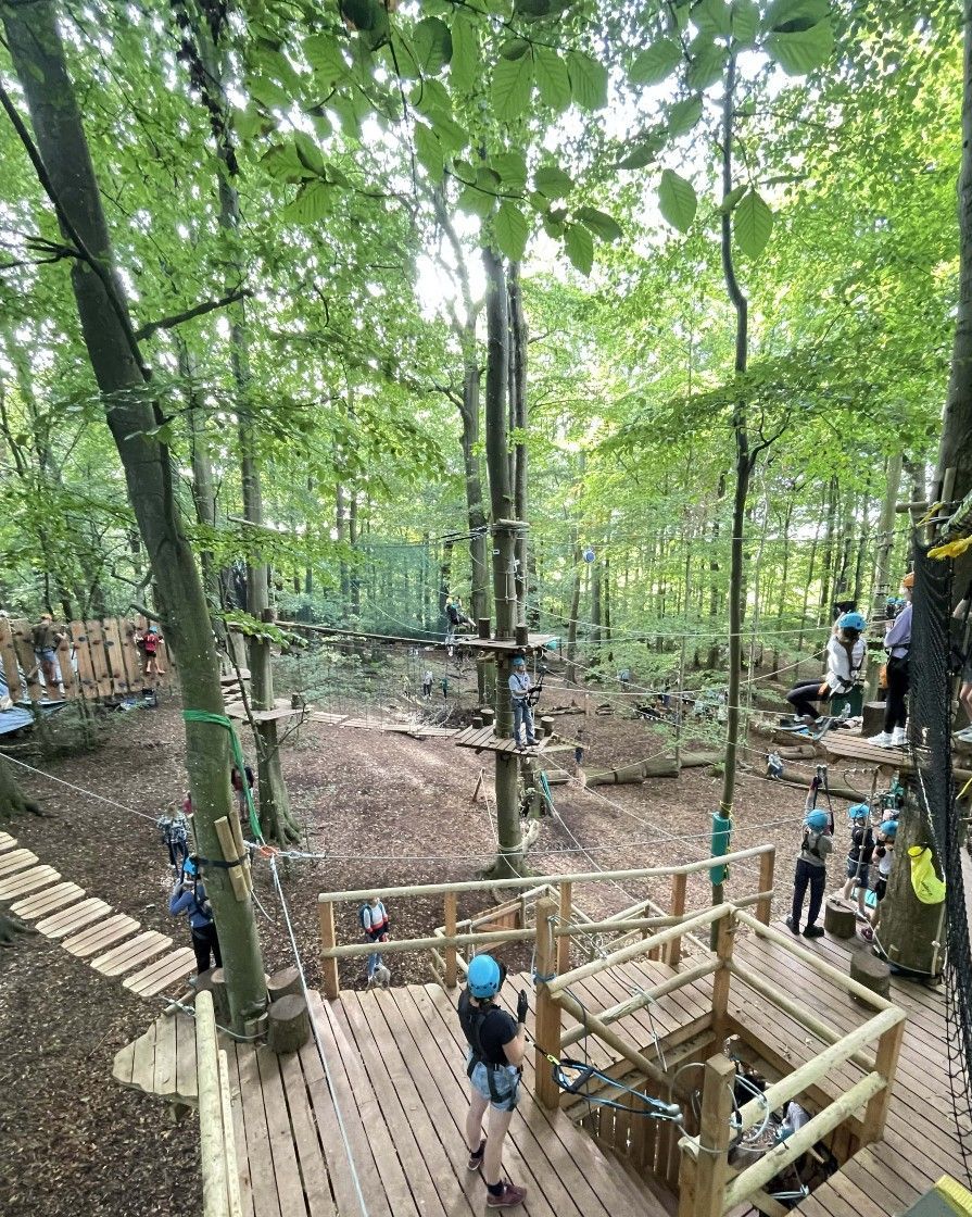 Aerial view of a treetop adventure park with people climbing obstacles