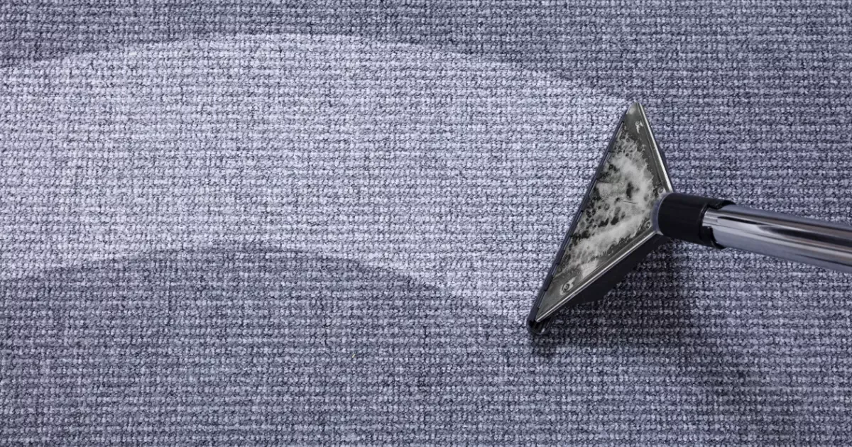 Eco-friendly carpet cleaning with steam extraction for deep cleaning results