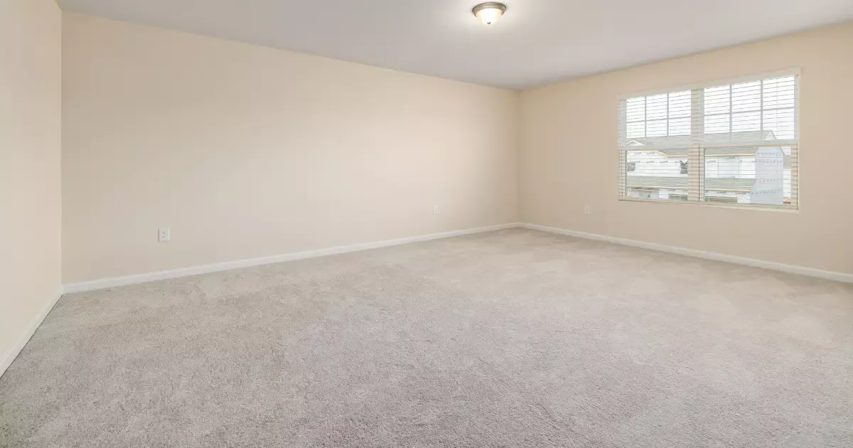 Freshly cleaned room with soft carpet showing results of trusted carpet care near me services