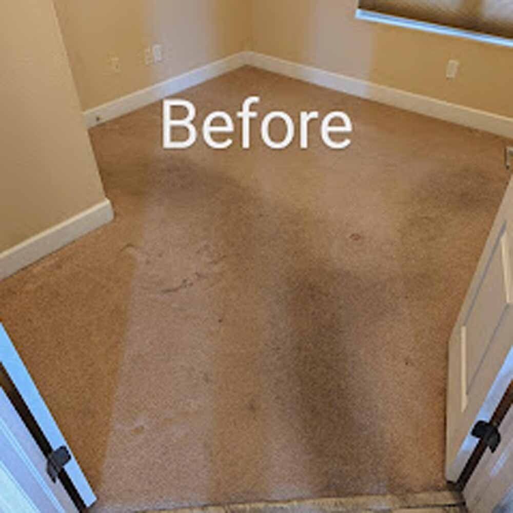 Residential room carpet before service, highlighting heavy soil buildup addressed by NOCO Carpet Cleaning
