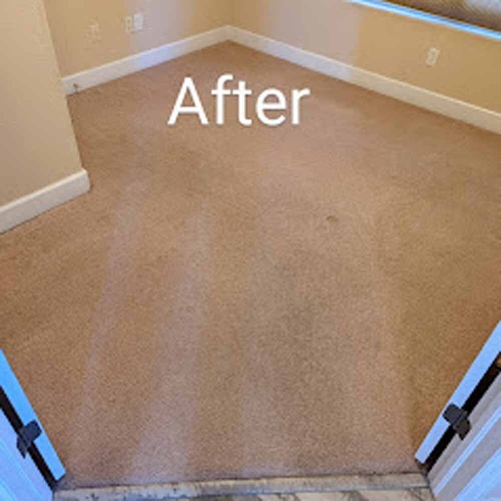 Freshly cleaned carpeted room showing “after” results by NOCO Carpet Cleaning