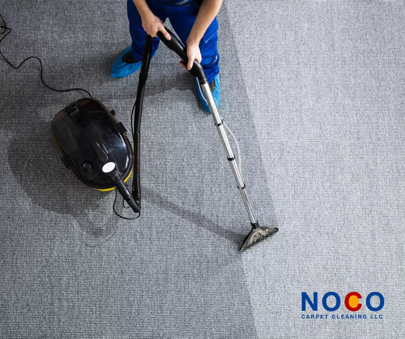 About Our Carpet Cleaning Company in Longmont, Colorado