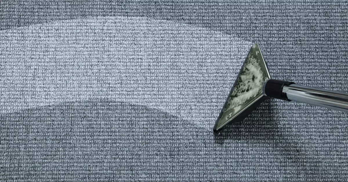Expert carpet cleaning services removing dirt and stains from a gray carpet with a professional extraction wand
