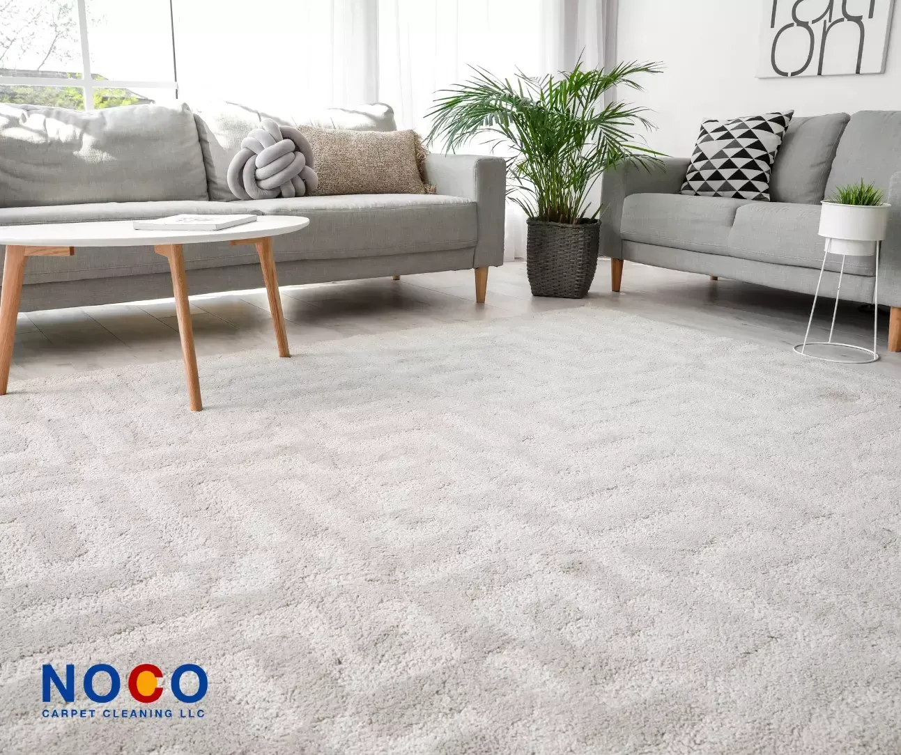 Bright living room with soft, spotless carpet after professional carpet cleaning service