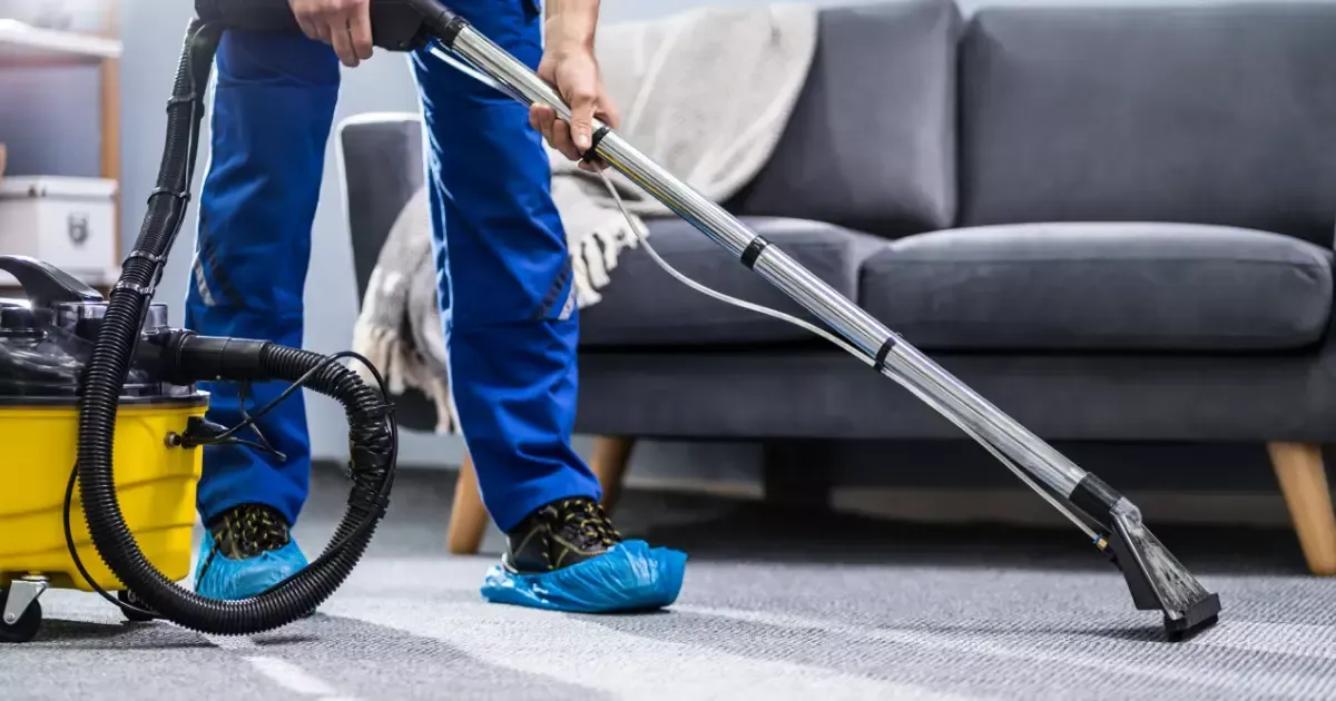 Professional Carpet Cleaning Service
