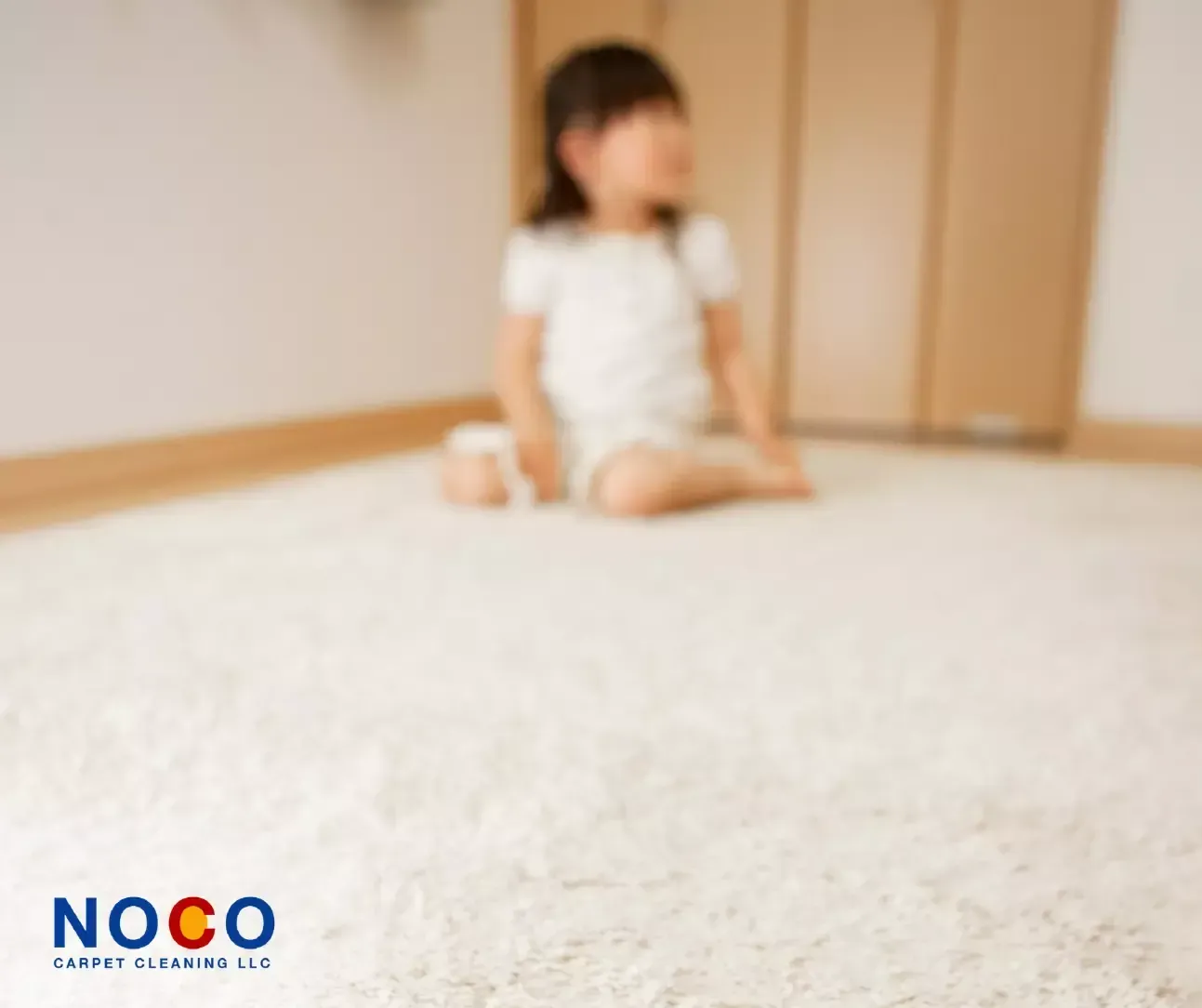 Carpet Cleaning Contractor Northern Colorado