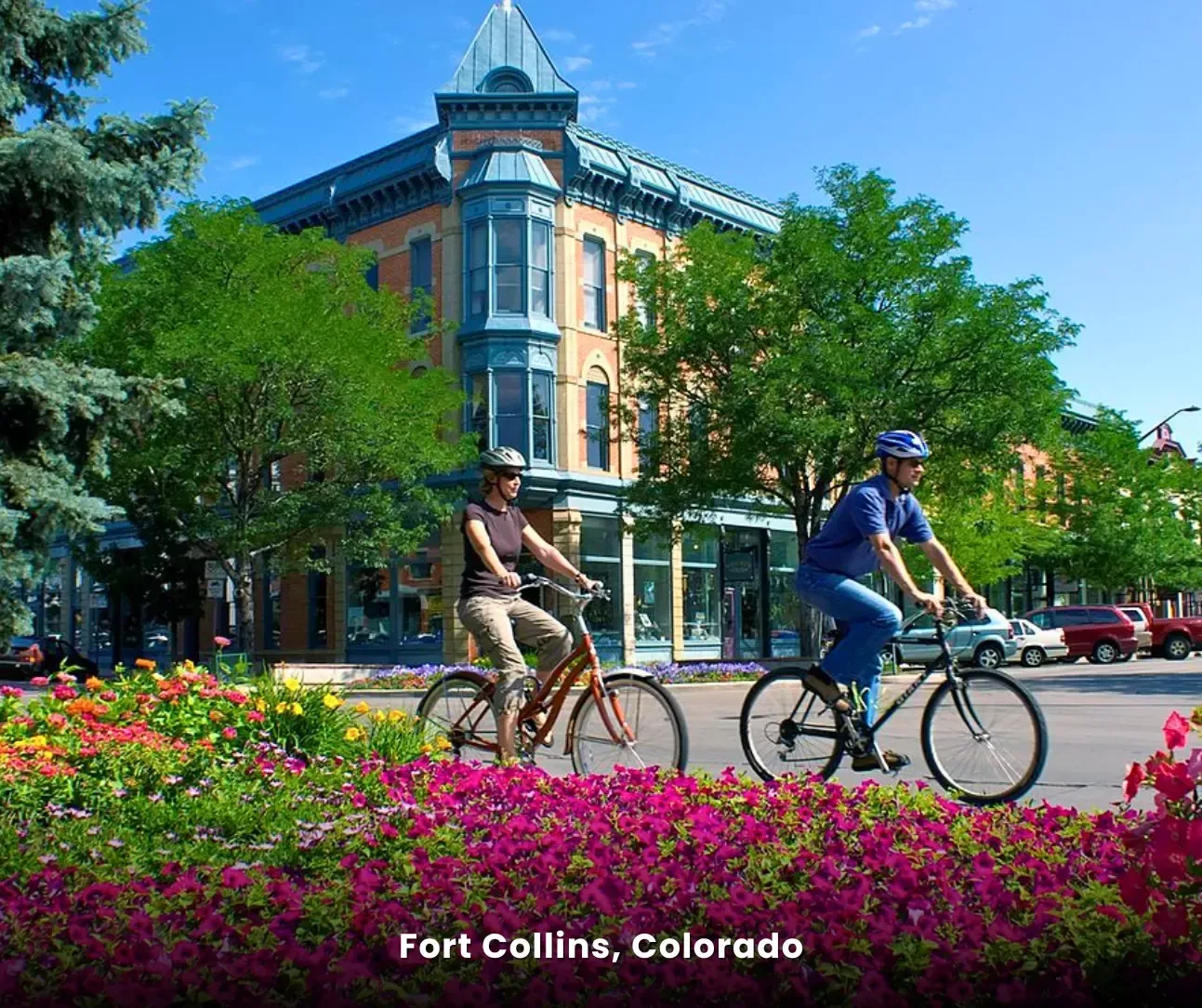 Expert Carpet Cleaning in Fort Collins, Colorado