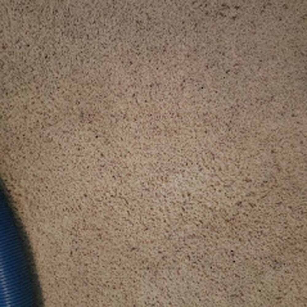 Close-up of light carpet after professional deep cleaning service by NOCO Carpet Cleaning