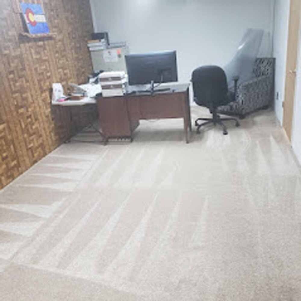Office space with freshly cleaned carpet showing detailed cleaning lines by NOCO Carpet Cleaning