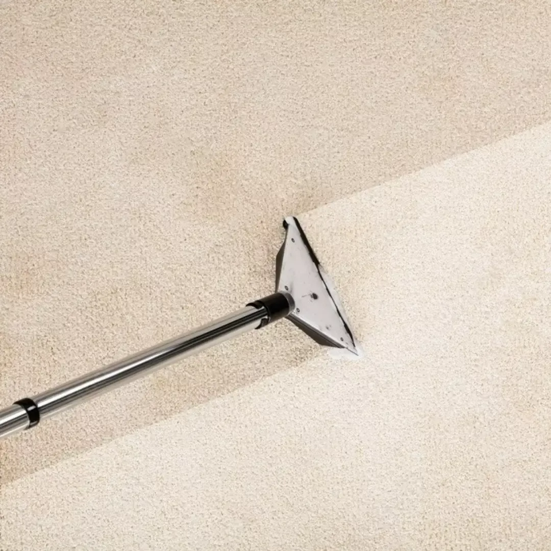 Extraction wand deep cleaning light carpet surface with professional carpet cleaning services