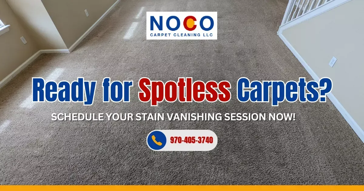 Clean residential carpet after professional stain cleaner service with spotless results