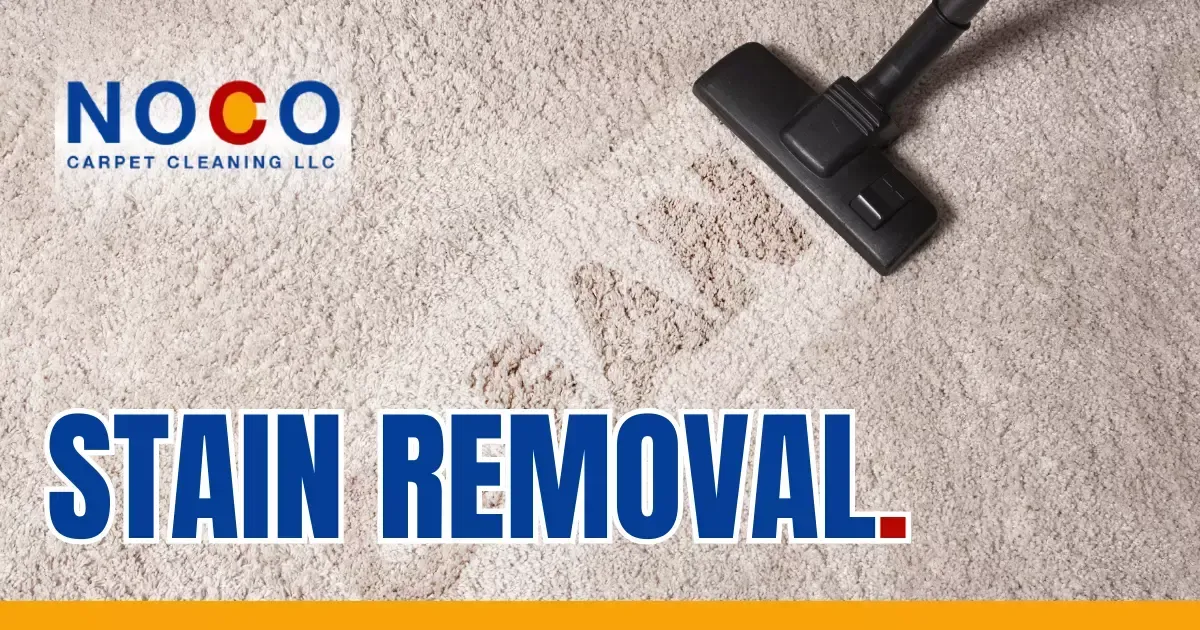 Stain cleaner removing dark spots from carpet during professional stain removal service