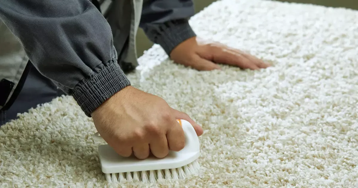 Carpet cleaning in progress as a technician scrubs a white carpet with a handheld brush to remove deep stains and dirt