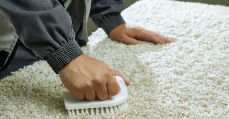Carpet cleaning in progress as a technician scrubs a white carpet with a handheld brush to remove deep stains and dirt