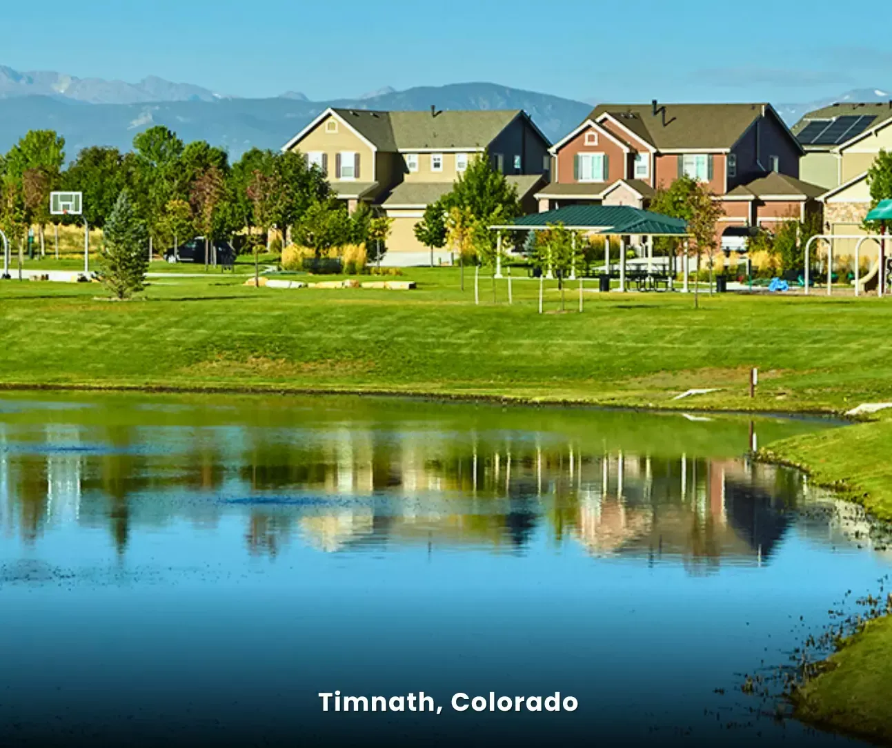 Expert Carpet Cleaning in Timnath, Colorado