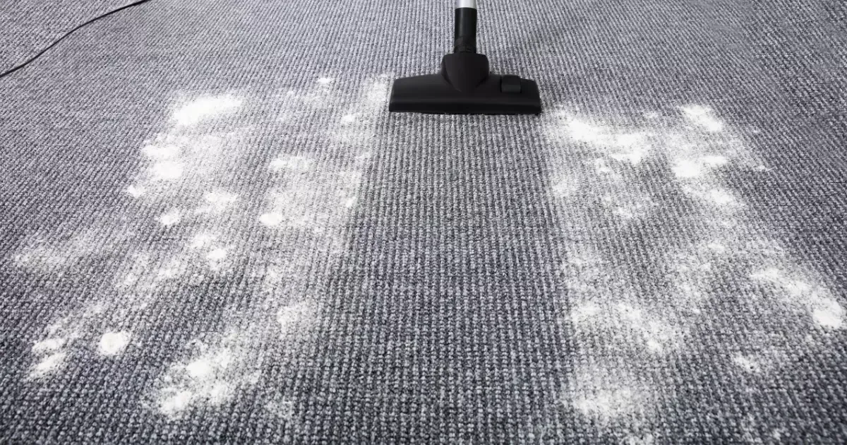 Vacuuming powder-based carpet cleaning solution from a gray carpet surface
