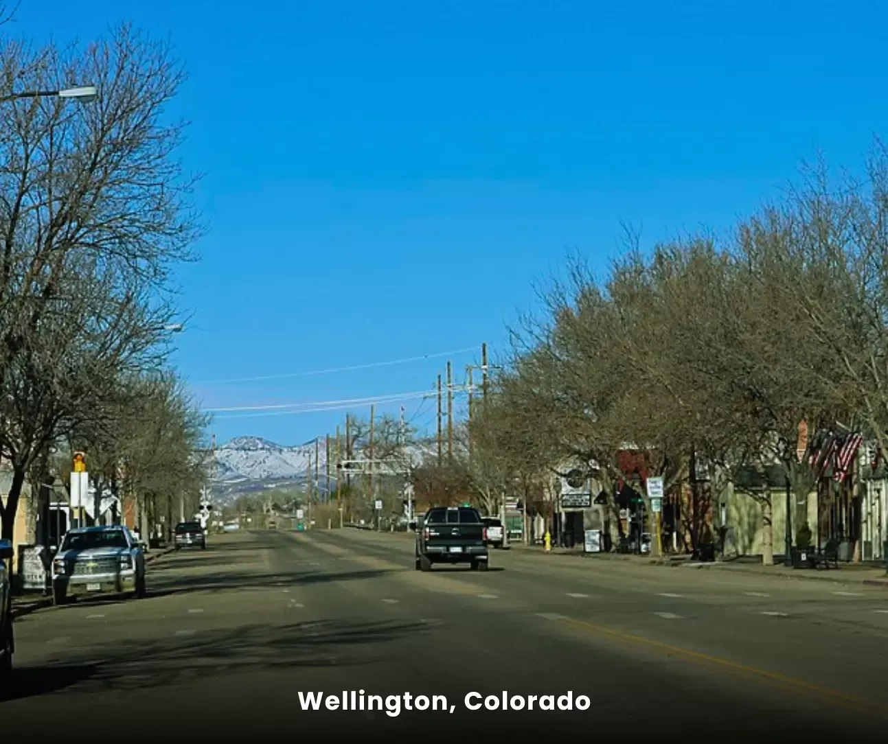 Expert Carpet Cleaning in Wellington, Colorado