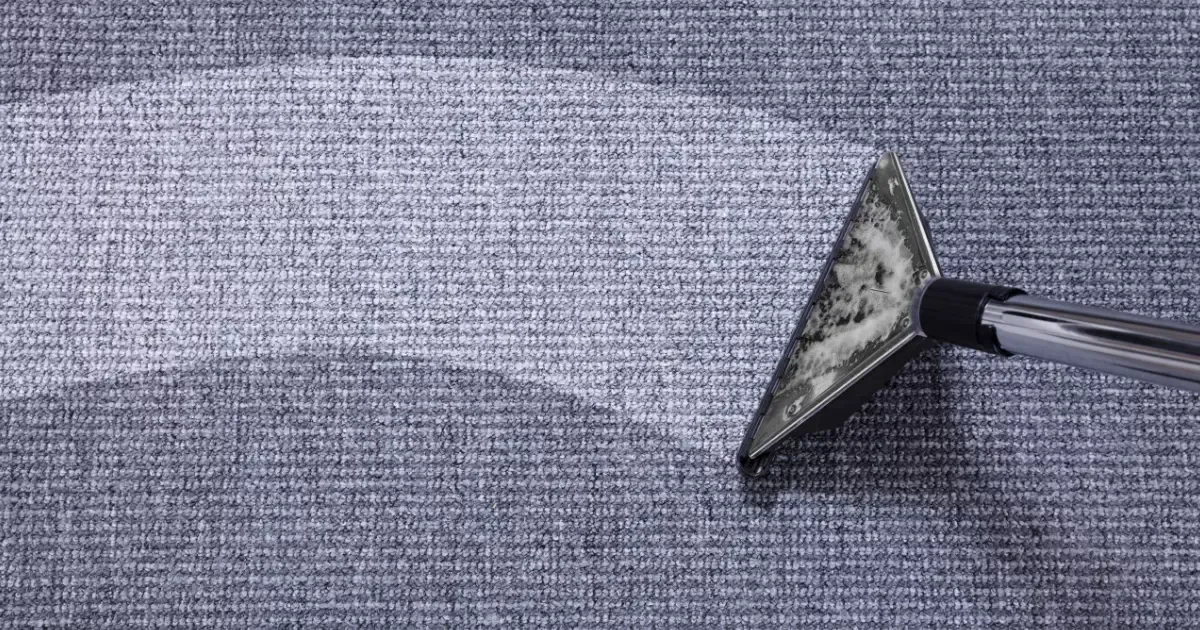 gray carpet being cleaned