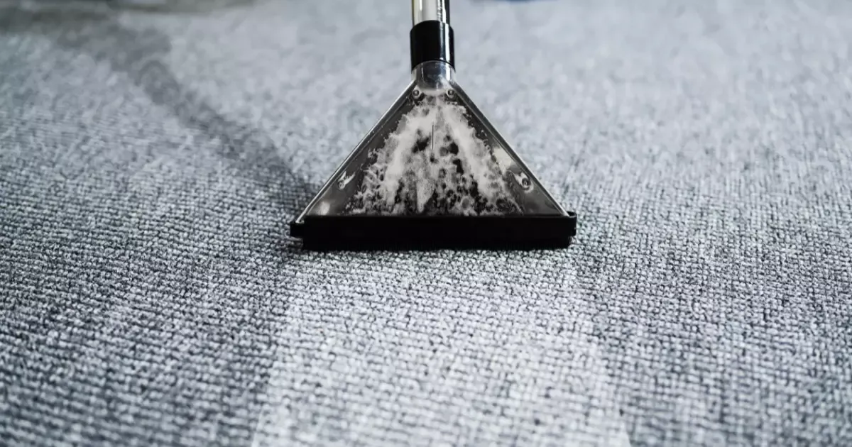 A vacuum cleaner with a triangular noose