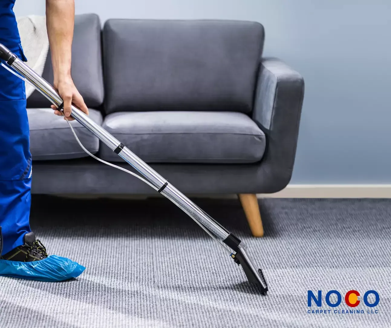 Why Choose Us as Your Local Carpet Cleaning Contractor