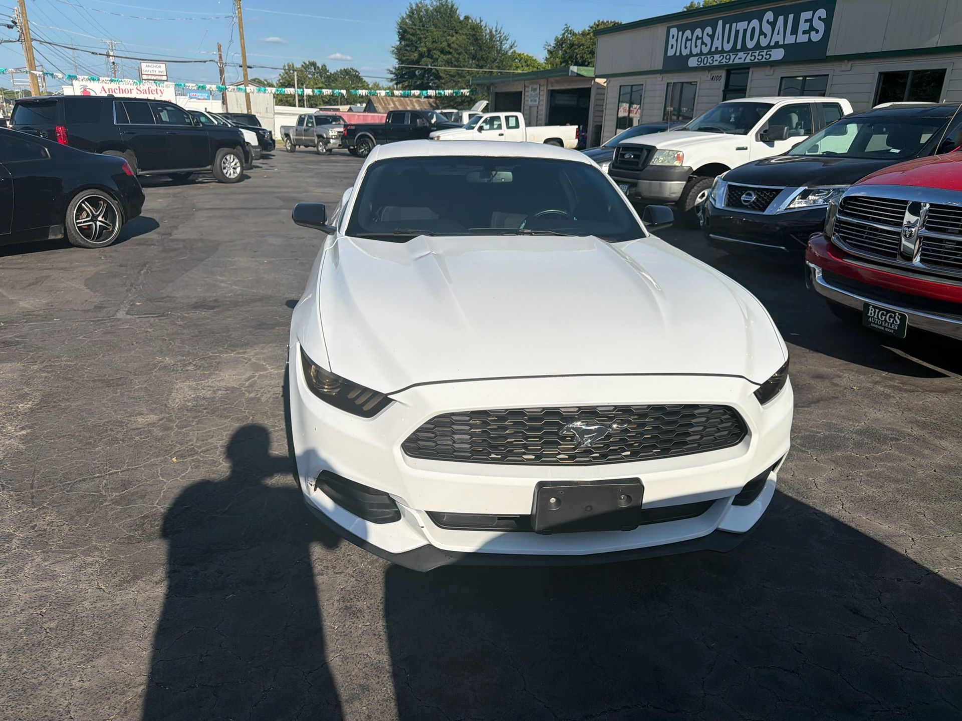 White Ford Mustang parked in a used car lot on a sunny day