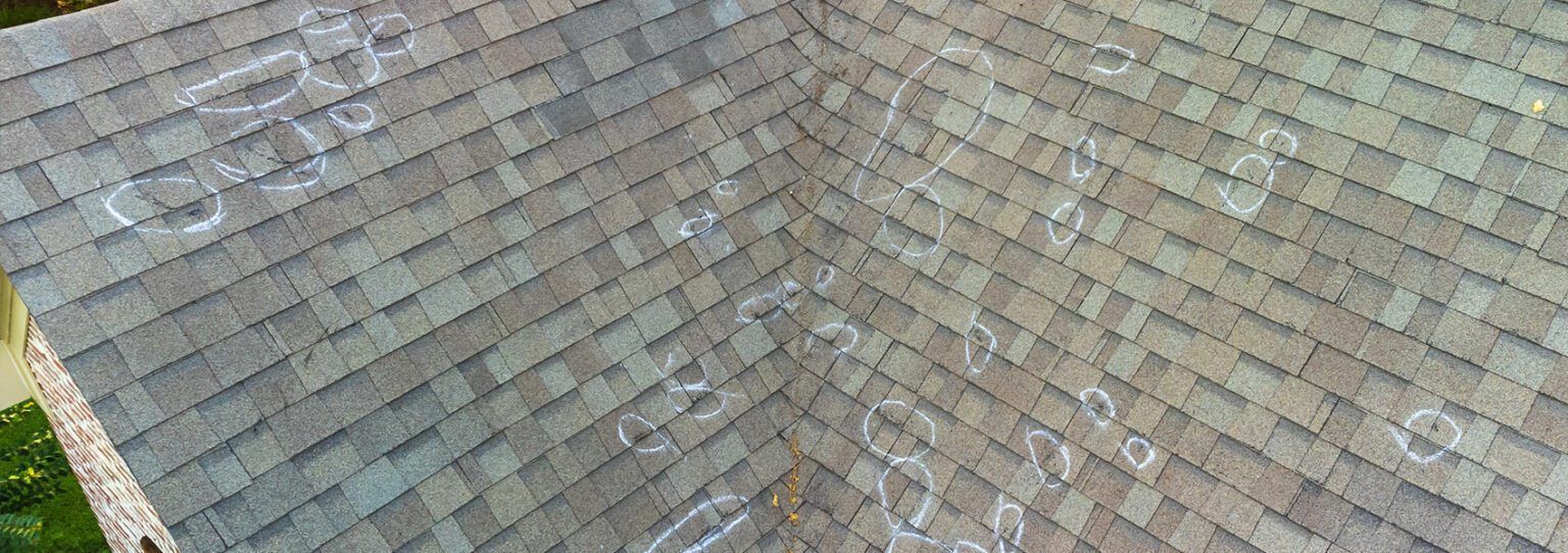 Diagonal view of a gray shingled roof with a small patch of green foliage at the edge