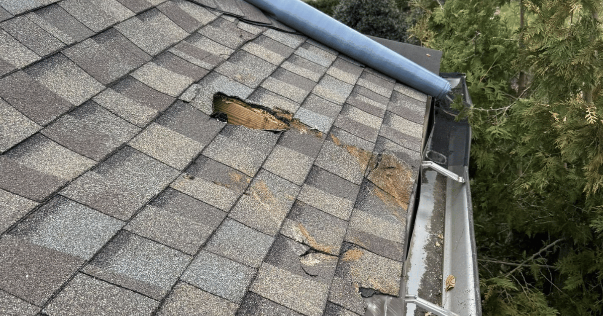 Roofer repairing a damaged shingle on a gray asphalt roof near a gutter