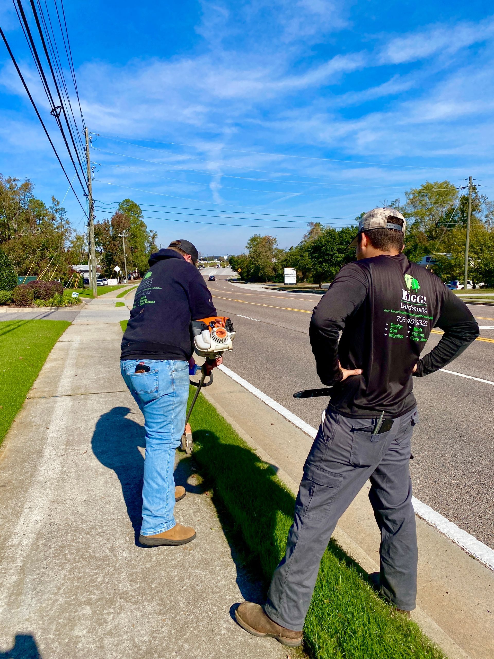 Hedge Trimming