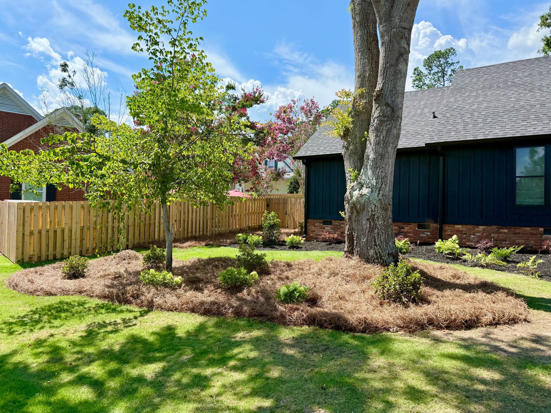 Lush green yard with small trees, wooden fence, and dark blue house under a bright blue sky. 