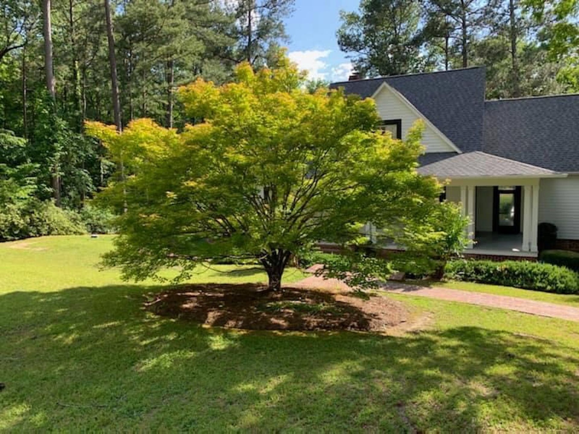 Landscape Maintenance