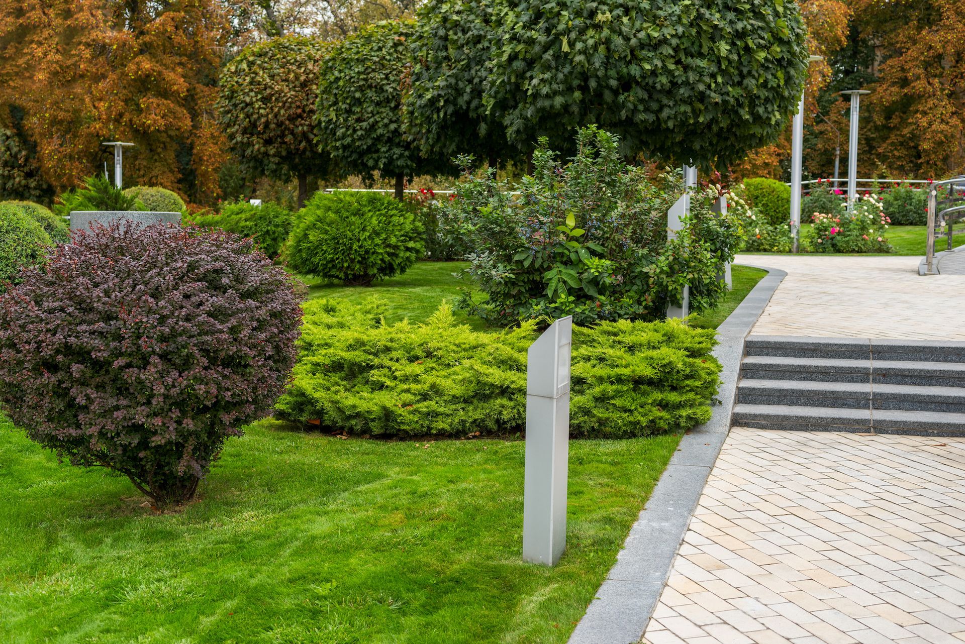 Commercial Landscape Maintenance 