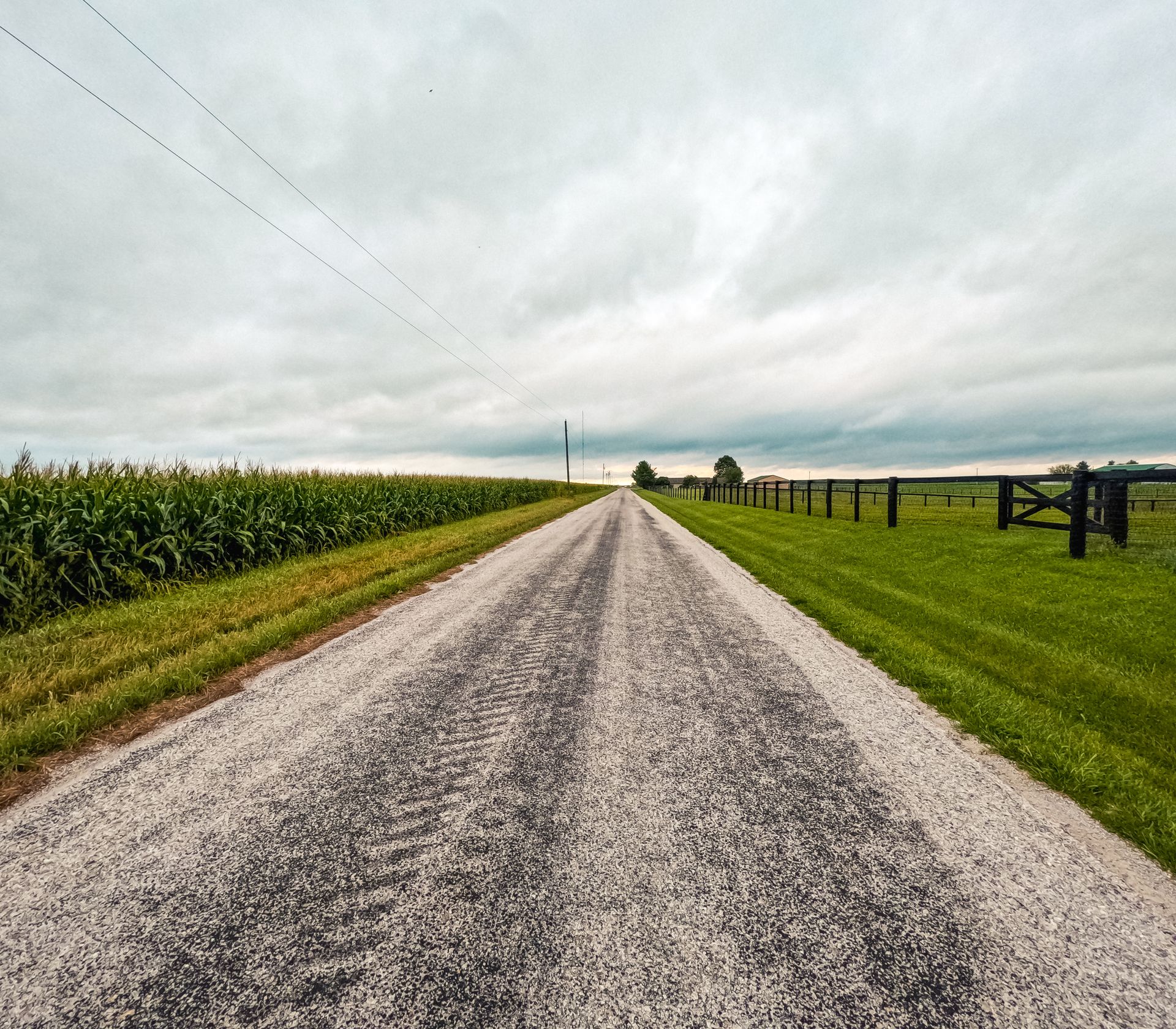 Gravel road through farmland with a cornfield on the left, a grassy field and fence on the right, under a cloudy sky. Gravel road through farmland with a cornfield on the left, a grassy field and fence on the right, under a cloudy sky.