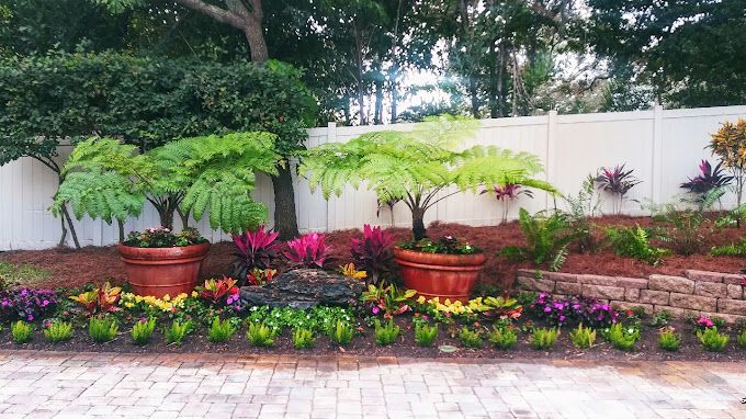 landscaping new port richey
